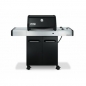 Classic Gas Grill
