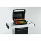 Classic Gas Grill