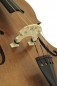 Double Bass