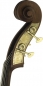 Double Bass