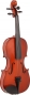 Violine