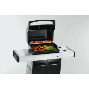Classic Gas Grill