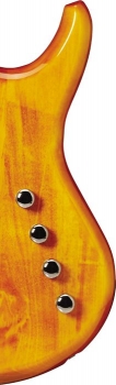 D&S Classic Artist 5-String Bass Gitarre