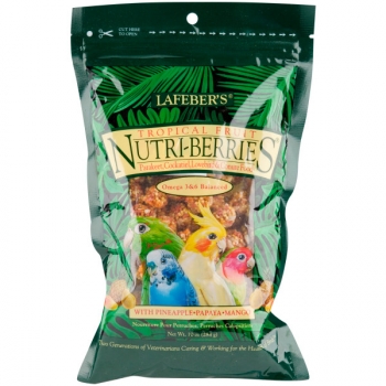 Vogelfutter Berries
