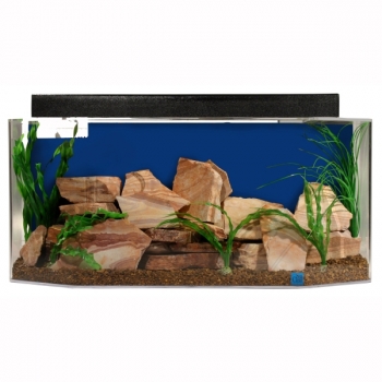 Aquarium mit Ziersteinen und Pflanzen