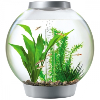 Kugelaquarium