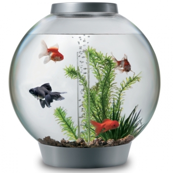 Kugelaquarium