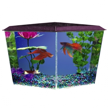 Aquarium