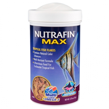 Fish Flakes