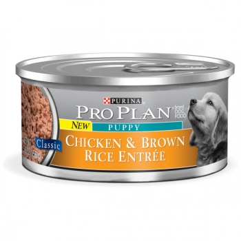 Hunde Welpen Futter