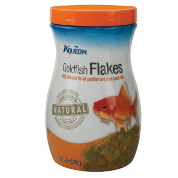 Goldfisch Futter