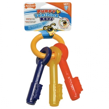 Hunde Zahn Schlüssel