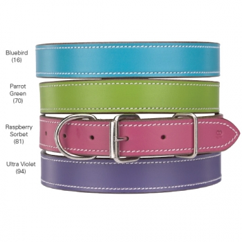 Leder Halsband