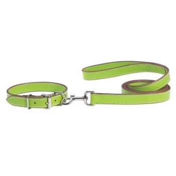 Leder Halsband