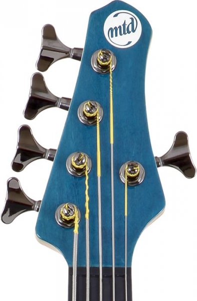 D&S Classic Artist 5-String Bass Gitarre