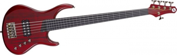 D&S Classic Artist 5-String Bass Gitarre