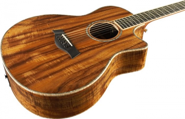Akustik Gitarre DS66AE 12-Saiten