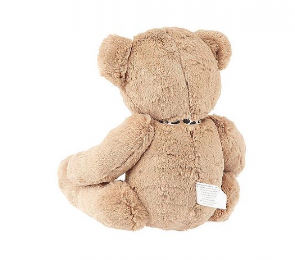 Teddy Bär