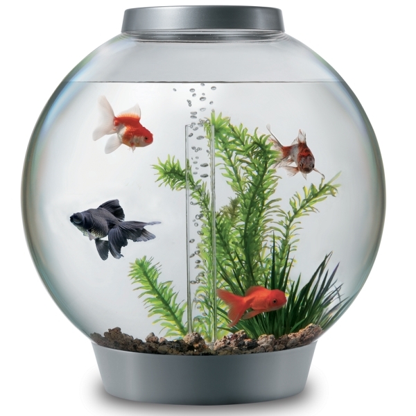 Kugelaquarium