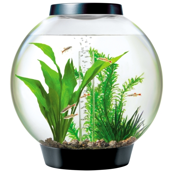 Kugelaquarium