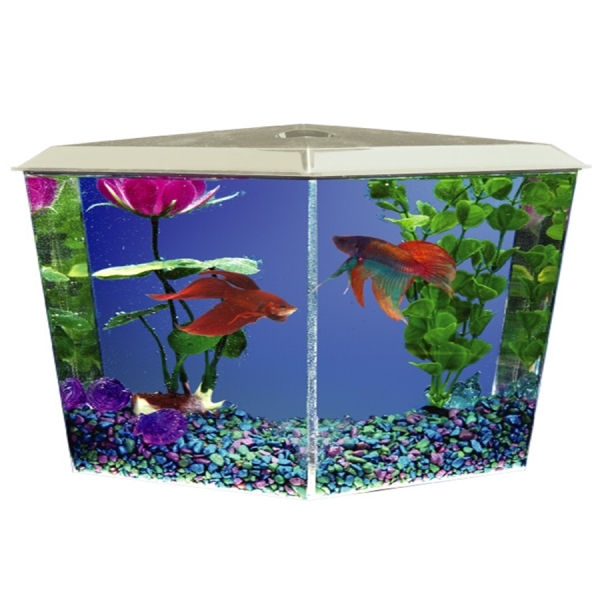 Aquarium