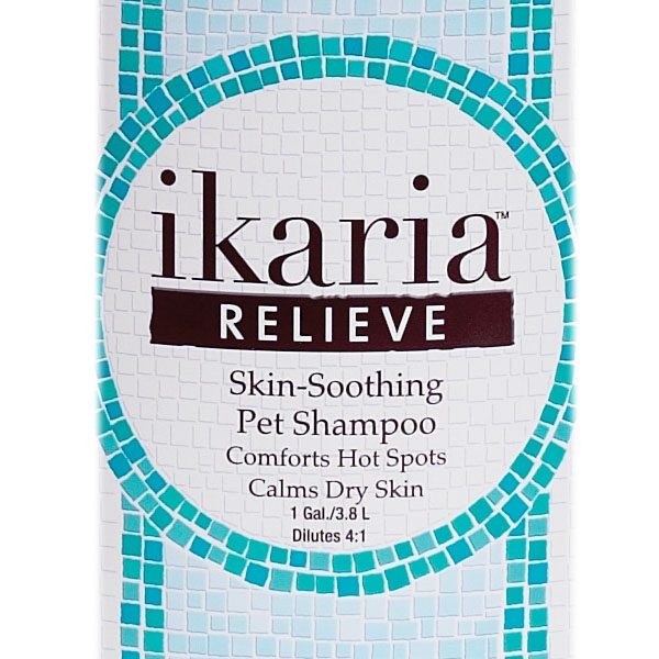 Classic Shampoo