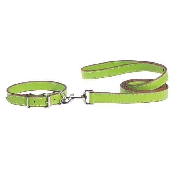 Leder Halsband