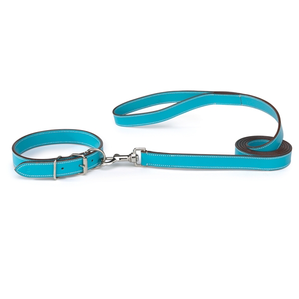 Leder Halsband