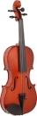 Violine